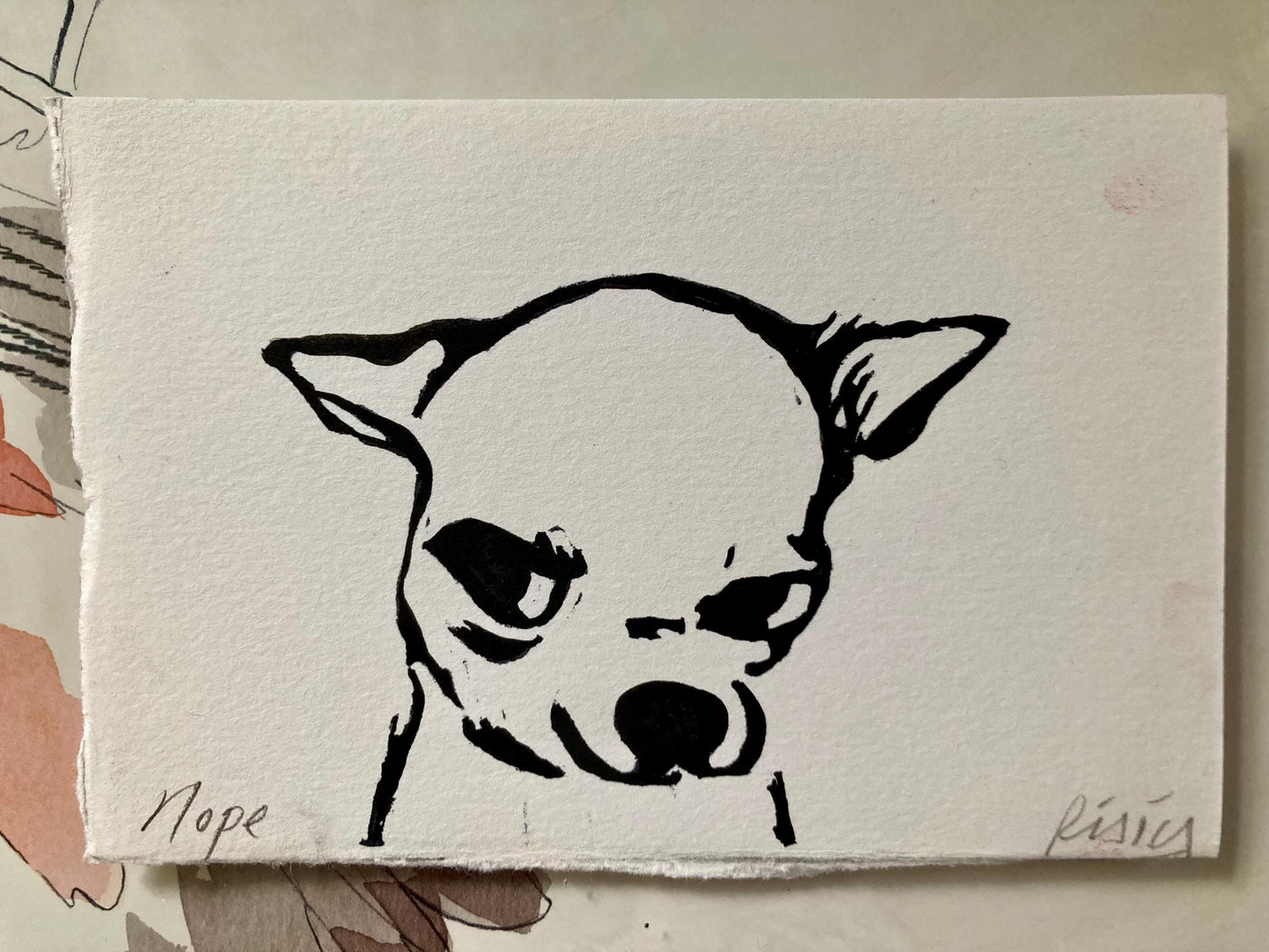 ‘Nope’